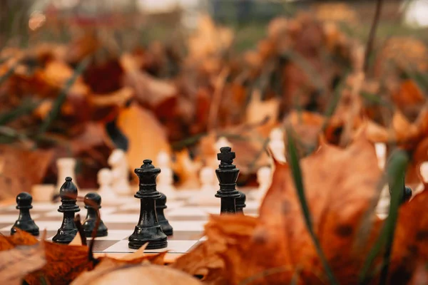 stock image Chess in the autumn landscape 