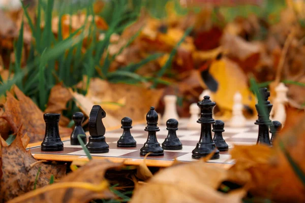 stock image Chess in the autumn landscape 