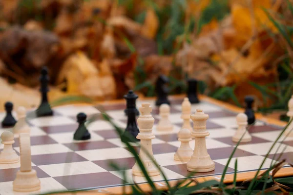 stock image Chess in the autumn landscape 