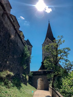 Avusturya 'daki dağda ortaçağ kalesi. Çiçekler ve mimari. Avusturya 'nın resimli manzaraları..