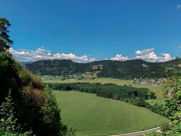 Średniowieczny Zamek Górze Austrii Kwiaty Architektura Malownicze Krajobrazy Austrii Ogród — Zdjęcie stockowe
