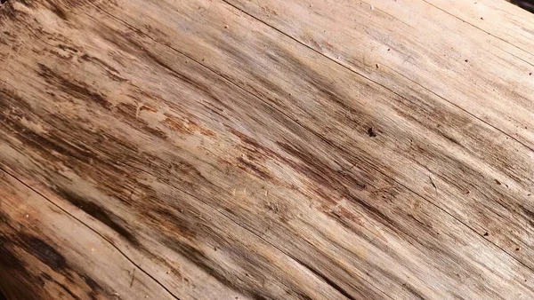 Текстура Гладкого Шматка Деревини Шкірки Високоякісна Фотографія — стокове фото