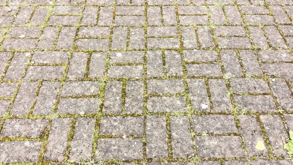 Paving Slabs Made Stone Which Moss Green Grass Grow High — Photo