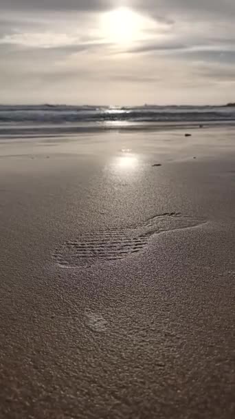 Imprint Sneaker Shoe Beach Ocean Sand High Quality Fullhd Footage — Stockvideo