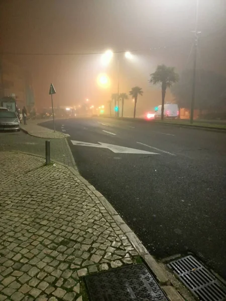 Mgła Lizbonie Palmy Rosną Drodze Wcześnie Rano Wysokiej Jakości Zdjęcie — Zdjęcie stockowe