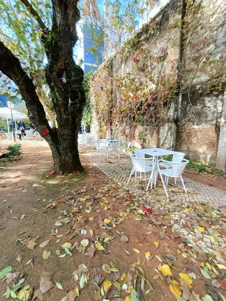 Büyük Bir Ağacın Altında Beyaz Bir Masa Sandalyeler Duruyor Lizbon — Stok fotoğraf