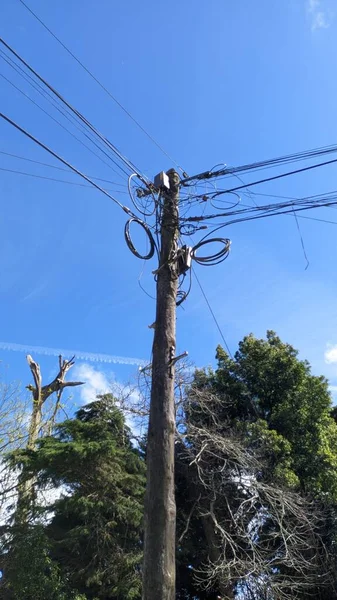 전화의 선으로 나무로 인터넷 리스본의 신트라 지역에서 의사소통을 — 스톡 사진