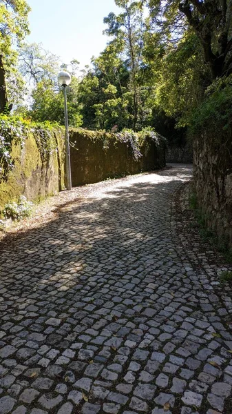 Вузька Вулиця Синтрі Португалія Район Лісабона Дорога Покрита Старим Каменем — стокове фото