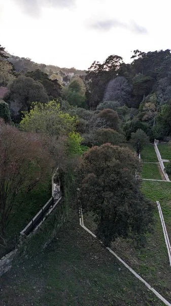 Parkı tepeden tırnağa görebiliyorsunuz. Bulutlu uzun bir park ve gökyüzü. Sintra 'nın turizm sektörünün ortasına park edilmiş ağaçlar ve bulutlu gökyüzü vadisine bakıyor.