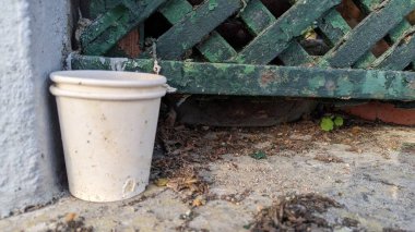 Çürümüş çöpler uzun süre kaldırımda durur ve güneşten yıpranır.