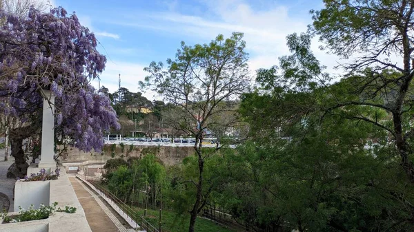 Jaro Přišlo Portugalska Všechny Rostliny Začaly Kvést Jasnými Barvami Turisté — Stock fotografie