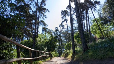 Lizbon 'daki Monsanto Parkı' nda yürüyüş, yürüyüş ve bisiklet yolu.