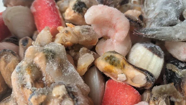 Багато Різних Шматочків Різних Морепродуктів Заморожених Контейнері — стокове фото