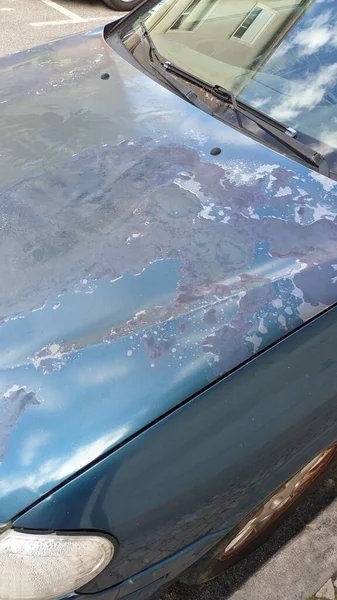 Due to the extreme heat in Portugal, varnish falls on cars Photo