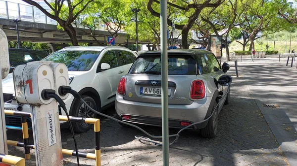 Sok Elektromos Autó Van Egy Ingyenes Töltőn Egy Parkban Lisszabonban — Stock Fotó