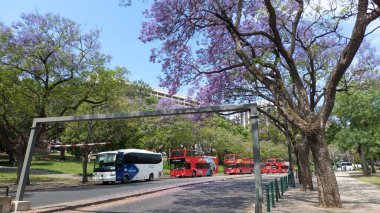 15.04.2023 İki katlı büyük kırmızı zevk otobüsleri Lizbon 'un merkezindeki bir parkta yol boyunca bir otoparkta duruyor.