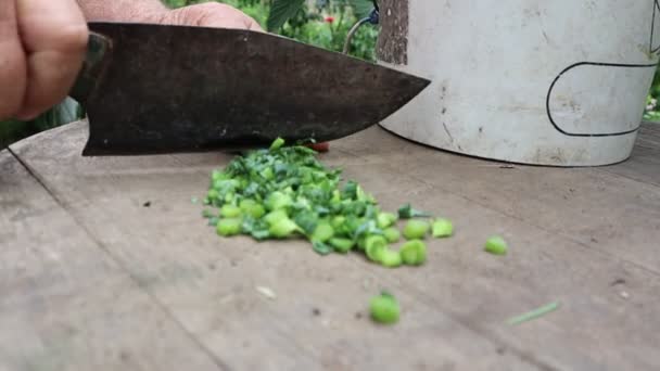 Büyükbaba Masada Tavuklar Için Büyük Bir Bıçakla Yeşil Çimenleri Kesiyor — Stok video