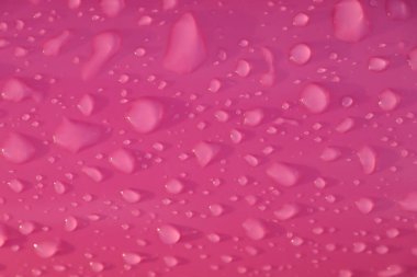 Yaz yağmurundan sonra pembe renkli çocukların üzerine su damlaları şişirilebilir top fotoğrafları.