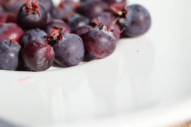 Olgun böğürtlenler beyaz bir tabakta duruyor.