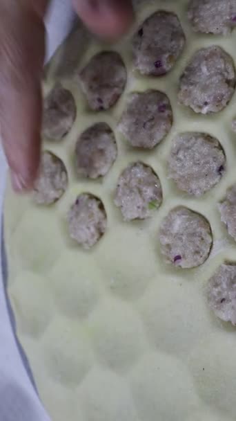 一步一步视频制作饺子与肉填充物从零开始 特点是特写镜头配料和手工塑造面团 最美味的食物 — 图库视频影像