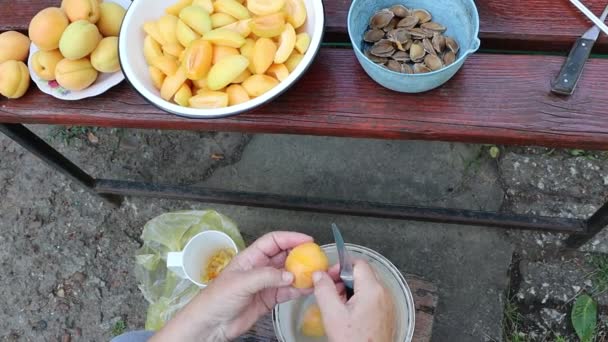 人がナイフを使用して果物のボウルに囲まれたベンチにエプロコットを剥がし 美味しいレシピのための成分を準備しています — ストック動画
