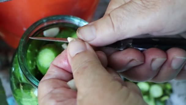 Ένα Βίντεο Που Δείχνει Διαδικασία Παρασκευής Σπιτικών Τουρσί Χέρι Κόβοντας — Αρχείο Βίντεο