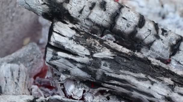 肉のビデオを調理するためのグリルで薪が燃える — ストック動画