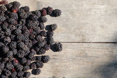 Tahta bir masanın üzerine yerleştirilmiş olgun böğürtlen koleksiyonu, yukarıdan gelen güneş ışığıyla vurgulanmış.