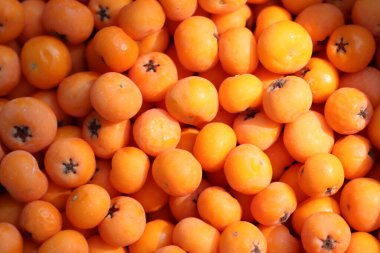 Canlı turuncu hurma ağaçlarının taze ve zengin renklerini vurgulayan geniş bir görüntüsü.