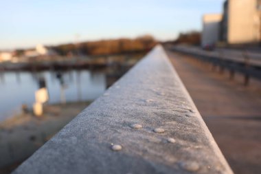 A closeup view of a bridge railing with a blurred scenic background featuring water and trees in an urban setting clipart