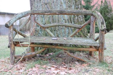 Yaşlı, kırsal ahşap bir bank, büyük bir ağacın altında oturuyor, sakin bir ortamda sonbahar yapraklarıyla çevrili..