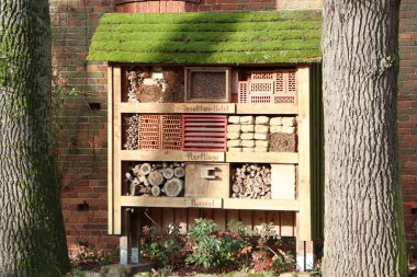 Ağaçların yanına böcek oteli inşa etmek arıları ve böcekleri barındırmak, biyolojik çeşitliliği ve ekosistem sağlığını desteklemek