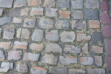 Taşların arasından süzülen yemyeşil otların olduğu antik bir kaldırım taşı yolunun detaylı bir görüntüsü.