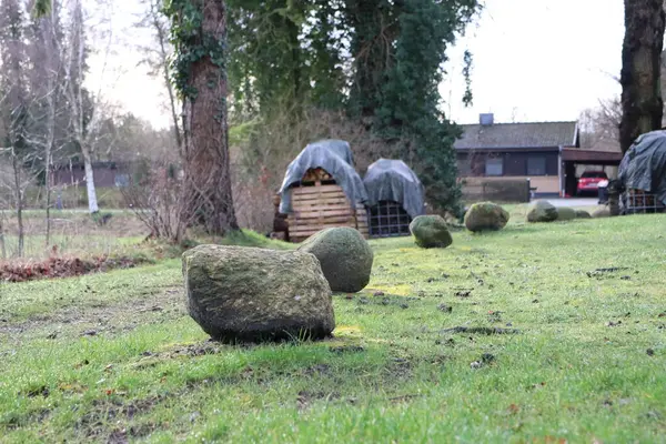 stock image Focus on a mosscovered rock in a grassy lawn with surrounding trees and garden elements in the background