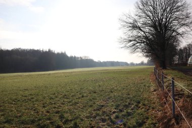 Çitlerin ve açık gökyüzünün altında ağaçların olduğu sakin kırsal alan huzurlu kırsal bölgeyi çağrıştırıyor.