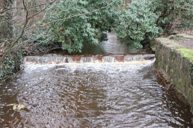 Huzurlu bir orman düzeni, yemyeşil sularla çevrili, yumuşak bir dere ve küçük bir şelale sergiler.