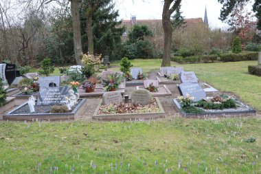 Almanya. Hamburg. 07.02.2024 Huzurlu mezarlık ayarı düzenli mezarları ve güzel çiçek sergilerini gösteriyor, huzuru ve hatıraları çağrıştırıyor