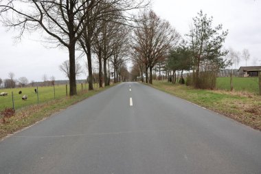Huzurlu, kırsal bir yol, ağaçlarla ve ufka doğru uzanan yeşil otlaklarla huzurlu bir arazide esiyor.