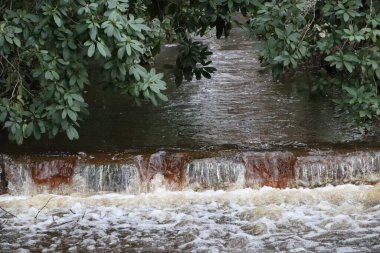 Küçük bir şelale ve yumuşak akarsuyun yanında bol bitki örtüsü içeren sakin bir nehir manzarası.