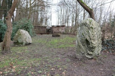Sakin bir orman açıklığında, Mossch kaplı taşlar ahşap çitlerle çevrili, barışçıl bir ortam yaratıyor.