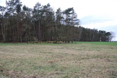 Huzurlu manzara, bir tarladan diğerine huzurlu bir geçişi yakalar, doğanın güzelliğini ön plana çıkarır.