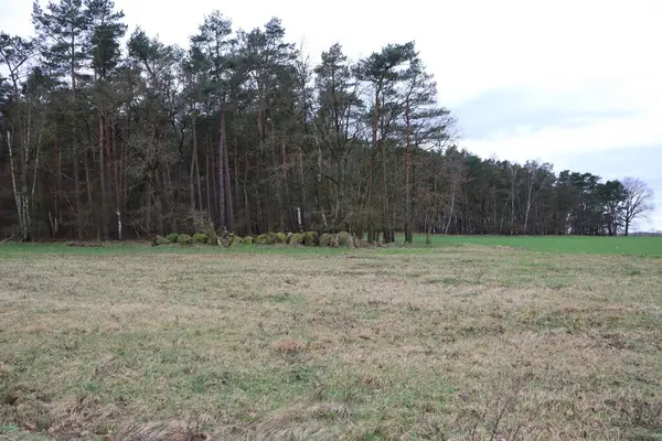 Huzurlu manzara, bir tarladan diğerine huzurlu bir geçişi yakalar, doğanın güzelliğini ön plana çıkarır.