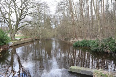 Bereketli bir ormanın içinden yavaşça akan sakin bir nehir huzurlu ve resimsel bir doğa manzarası sunuyor.
