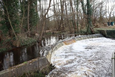 Bereketli bir şelale ve çeşitli bitki örtüsüyle huzurlu ve güzel bir ortam yaratan huzurlu bir orman deresi.
