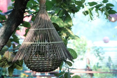 Güzel bir kuş kafesi, güçlü bir ağaç dalından nazikçe sarkan, doğanın hafif esintisinde hafifçe sallanan