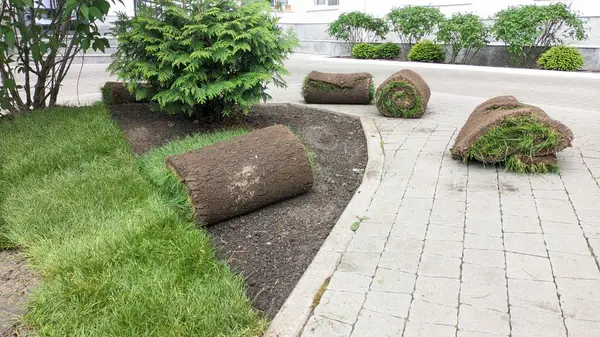 Üç rulo yemyeşil ot güzel bir bahçede kaldırımda düzgünce dinleniyor, peyzaj için serilmeyi bekliyor.