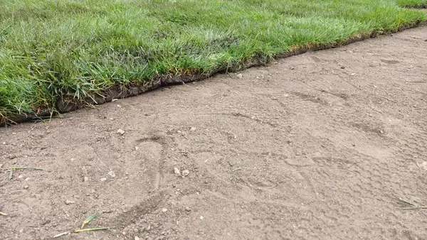 stock image A lawn that features a significant amount of grass accompanied by patches of dirt spread throughout it, creating a unique texture