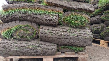 Sağlam bir ahşap paletin üzerine yerleştirilmiş düzgünce düzenlenmiş büyük bir ot tomarı yığını organize bir gösteri oluşturuyor.