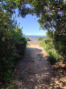 Bereketli yeşillik tarafından çerçevelenmiş şaşırtıcı derecede güzel bir patika, önümüzde parlak suyun sakin ve sakin bir görüntüsünü ortaya çıkarıyor.