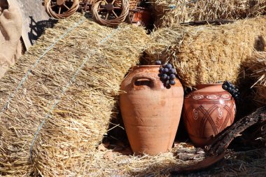 Saman balyalarıyla eşleştirilmiş terracotta kavanozlarının yer aldığı pitoresk bir düzenleme, davetkar bir köy cazibesi yaratıyor.